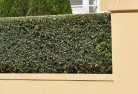 Abbotsford VIChard-landscaping-surfaces-8.jpg; ?>